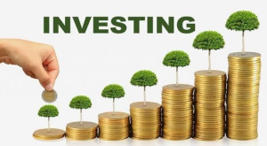 Why Investment Is Essential for Building Wealth