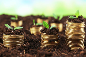 Investment: A Smart Path to Long-Term Financial Success
