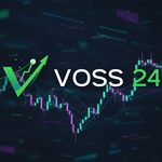 Voss24s Kundenfeedback treibt kontinuierliche Verbesserung in Deutschland