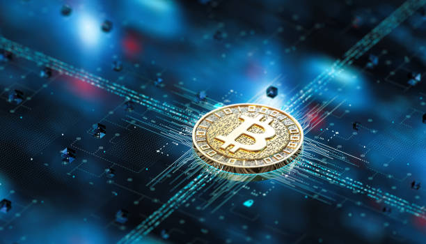 The Future Is Bright: Lobigroup.com’s Record-Breaking Growth Journey!